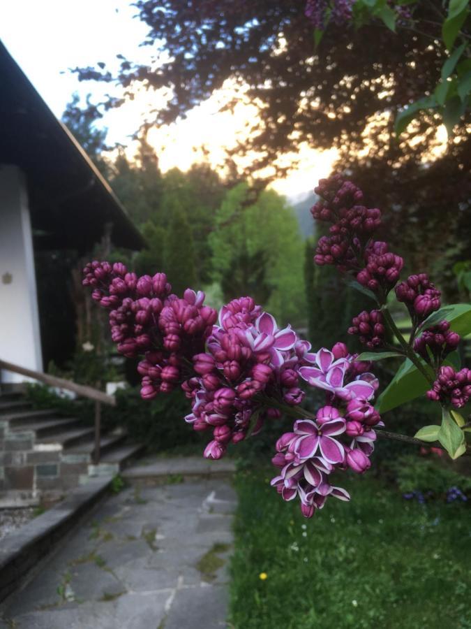 Ferienhaus Wieswald Ehrwald Dış mekan fotoğraf